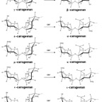 Moleculare_structure_of_different_carrageenan_types.jpg